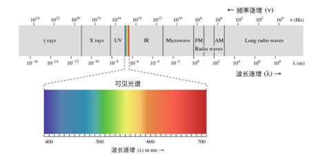 光的能量|光